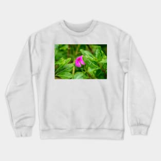 121118 hidden gems Crewneck Sweatshirt